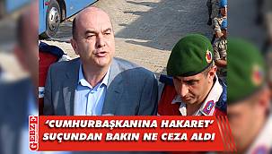 Darbeci eski tuğamiral İmren'in cezası belli oldu