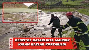 Gebze’de kaz kurtarma operasyonu