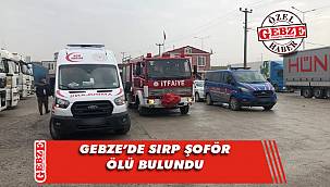 Gebze'de tır şoförünün sır ölümü