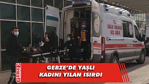 Gebze'de yılan vakası