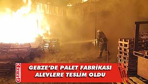 Gebze’de yüzlerce palet küle döndü