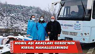 Gebze kırsalında aşı çalışmaları sürüyor