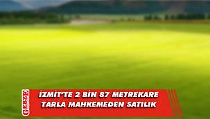 İzmit'te mahkemeden satılık tarla