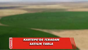 Kartepe Çepni'de 314 metrekare tarla icradan satılık