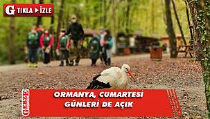 Ormanya, Cumartesi günleri de açık