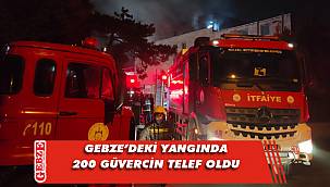 Pelitli'deki o yangında üzücü detay