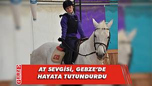 Serebral palsi hastası Canan Doğan’ın başarı öyküsü