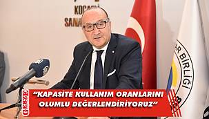 Zeytinoğlu, kapasite kullanım oranları hakkında konuştu