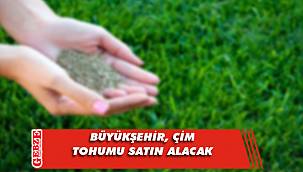 Büyükşehir, çim tohumu satın alacak