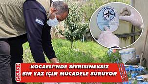 Büyükşehir'in vektörle mücadelesi erken başladı