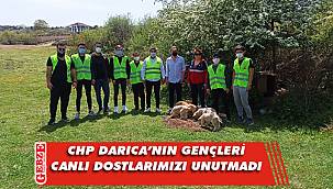 CHP Darıca'nın gençleri dostlarımızı yalnız bırakmadı