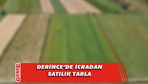 Derince’de 3 bin 945 metrekare tarla icradan satılık