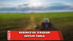 Derince’de 5 bin 875 metrekare tarla icradan satılık