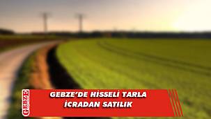 Gebze’de hisseli tarla icradan satılık