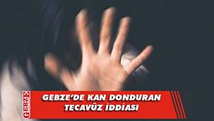 Gebze'de iğrenç olay