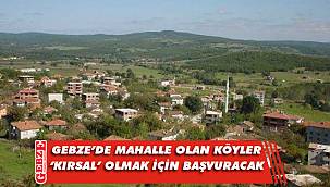 Gebze'de o mahalleler 'kırsal' olacak mı ?