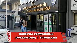 Gebze'de yankesicilik operasyonu