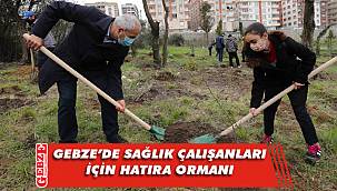 Gebze'de yüzlerce fidan toprakla buluştu