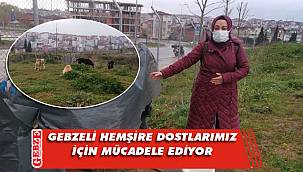 Gebzeli Evcim'in duyarlı davranışı alkış topluyor