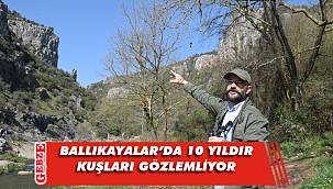 Gebzeli Malkoçoğlu, yaban hayatını yakından takip ediyor