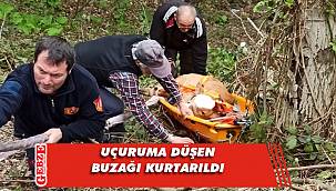 Kocaeli itfaiyesi buzağıyı kurtardı