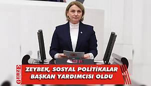 Milletvekili Zeybek'e önemli görev