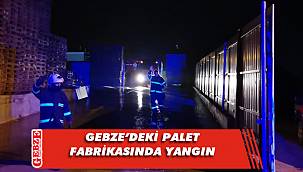 Mollafenari'deki palet fabrikasında çıkan yangın korkuttu