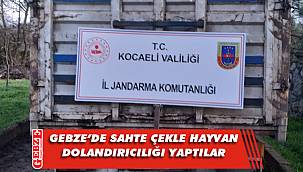 Tekirdağ’dan geldiler, besicileri dolandırdılar