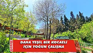 164 noktada 597 ekiple çalışmalar sürüyor