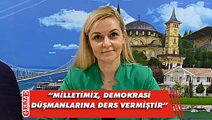 AK Kocaeli, 1960 darbesini kınadı