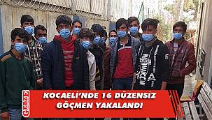 Anadolu Otoyolu'nda düzensiz göçmen operasyonu