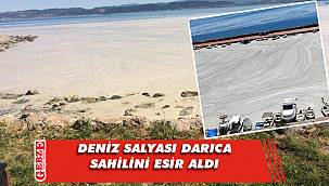 Deniz salyası bu kez Darıca kıyılarında