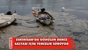 Deniz salyası Eskihisar'da da etkisini gösterdi