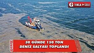 Deniz salyasıyla mücadele Darıca'da yoğunlaştı