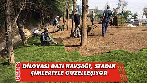 Derince'deki stadın çimleri Dilovası'nda değerlendirildi