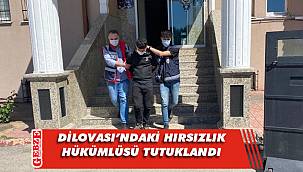 Dilovası'nda hırsızlık zanlısı yakalandı
