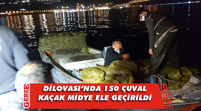 Dilovası’nda kaçak midye operasyonu