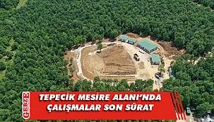 Dilovası'nda mesire alanı hazırlıkları devam ediyor