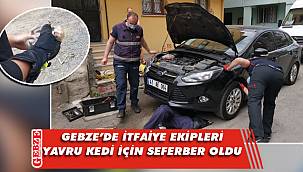 Gebze'de yavru kedi sıkıştığı yerden çıkarıldı