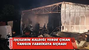 Gebze'deki kereste fabrikasında yangın