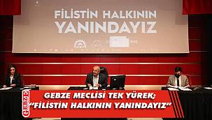 Gebze meclisinden İsrail'e ortak tepki