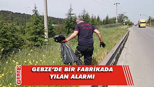 İtfaiyeden Gebze'de yılan operasyonu