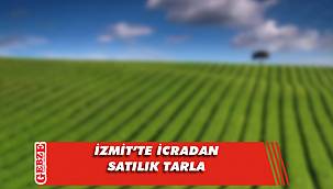 İzmit Emirhan Mahallesi'nde icradan satılık tarla