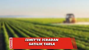 İzmit'te icradan satılık tarla