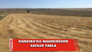 Kandıra’da 5 bin 399 metrekare tarla mahkemeden satılık