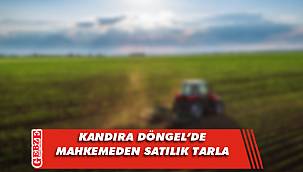 Kandıra'da mahkemeden satılık tarla