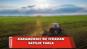 Karamürsel’de 8 bin 171 metrekare tarla icradan satılık