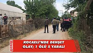 Kocaeli'nde dehşet anları yaşandı