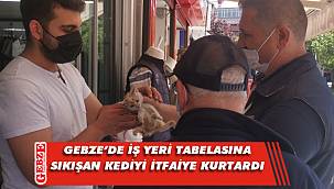 Reklam tabelasına sıkışan kediyi itfaiye kurtardı
