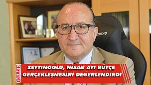 Zeytinoğlu'ndan bütçe gerçekleşmesi yorumu